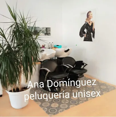 Ana Domínguez Peluquería Unisex