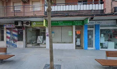 Arellano