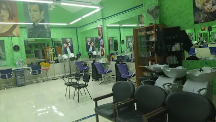 Atelier Miguel Peluquería Latina Unisex